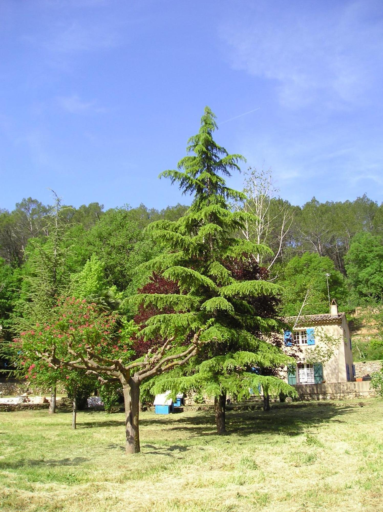 Domaine De La Provenc'Ane Βίλα Salernes Δωμάτιο φωτογραφία